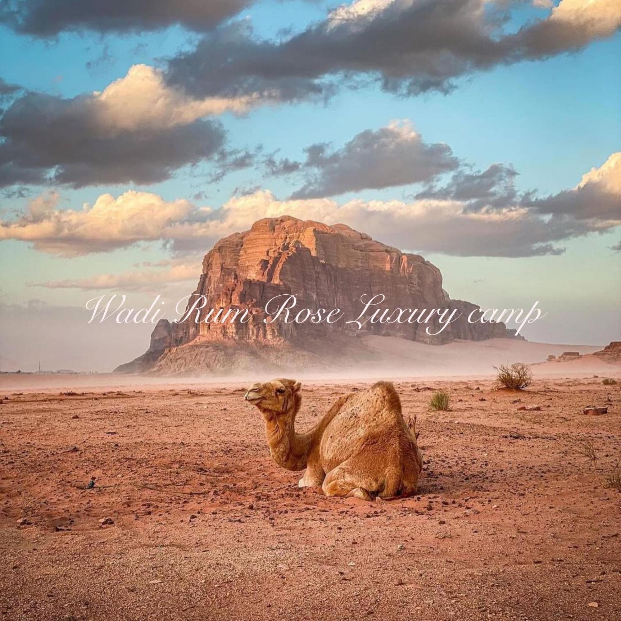 Wadi Rum Rose Luxury Camp Dış mekan fotoğraf