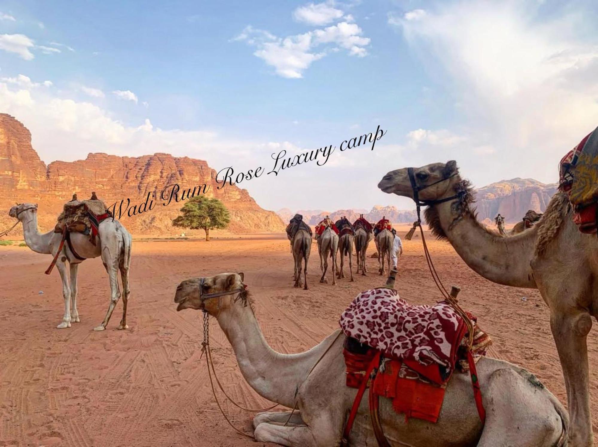 Wadi Rum Rose Luxury Camp Dış mekan fotoğraf