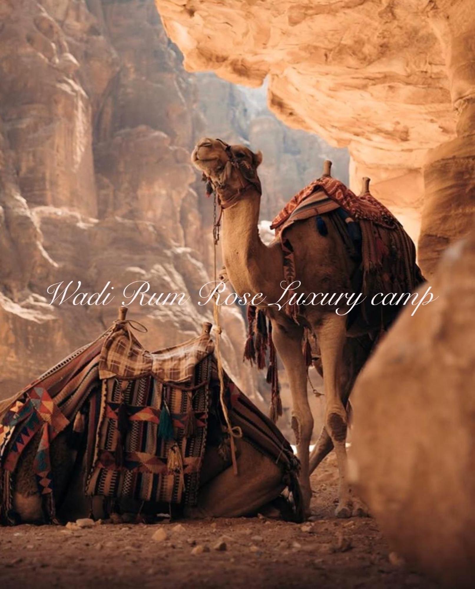 Wadi Rum Rose Luxury Camp Dış mekan fotoğraf